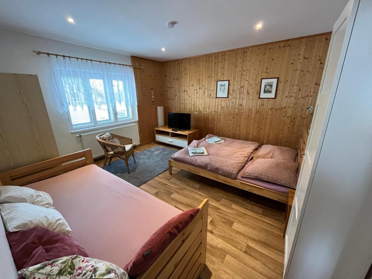 Ubytování Sedlařík Mladé Buky Exterior foto