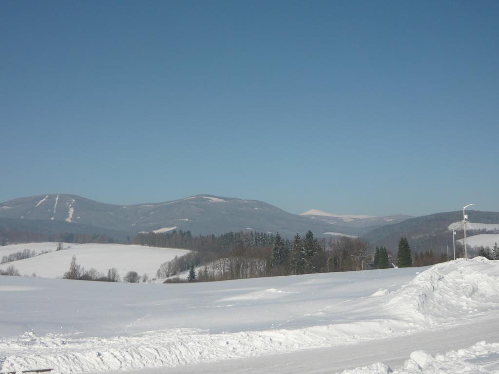 Ubytování Sedlařík Mladé Buky Exterior foto